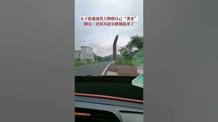 湖南，女子路遇风电叶片运输车朝自己驶来，网友：乍一看以为是公路翘起来了。#意不意外 - 天天要闻