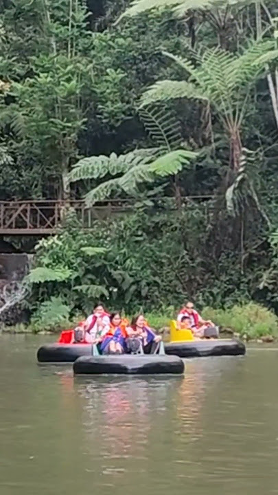 bumping boat