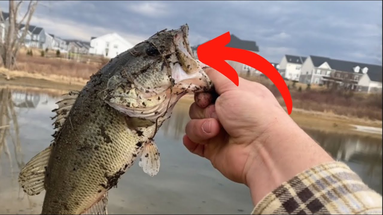 The Best Lure for Largemouth Bass Fishing in 2025