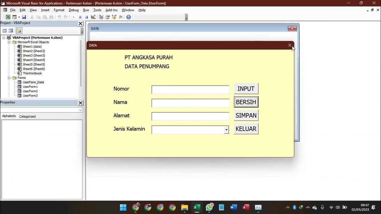 Membuat Input Data UserForm 2 - YouTube