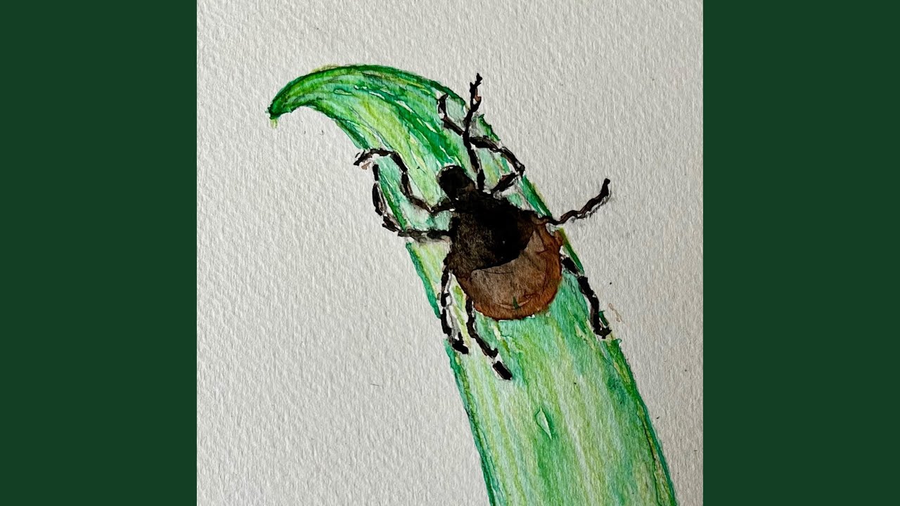 FÄSTING (feat. Joanna Stassos Wolf)