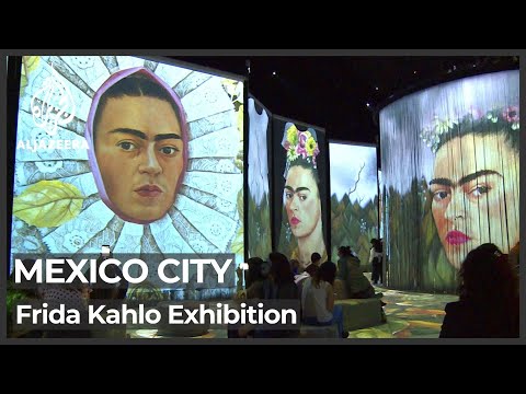 Video: Pinto Frida: Biografi, Karriär, Personligt Liv