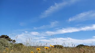 India Basin Video Montage 7