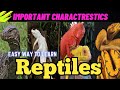 Class reptilia||class reptilia class 11||class reptilia characteristics and examples