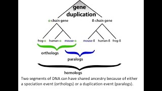 Pairwise Sequence Alignment Net Worth