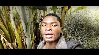 puto jemose dj katimbe producoes.mp3.MP4(dance)vinstudio7@gmail.com(1)