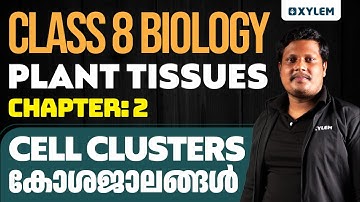 Class 8 Biology | Plant tissues - Chapter: 2 Cell Clusters / കോശജാലങ്ങൾ | Xylem Class 8
