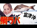 【さかな芸人ハットリくん】と東京湾で『タイラバ』に挑戦!【令和爆釣会】