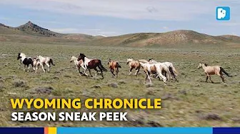 Wyoming’s Wild Horses, Landslides, & Esports Champions | Wyoming Chronicle Season Preview