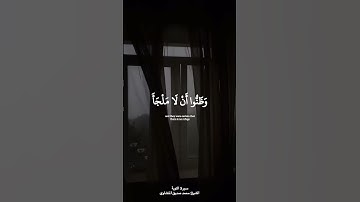 وضاقت عليهم أنفسهم #القرآن_الكريم #سورة_التوبة #الشيخ_محمد_صديق_المنشاوي #المنشاوي #allahswt #short