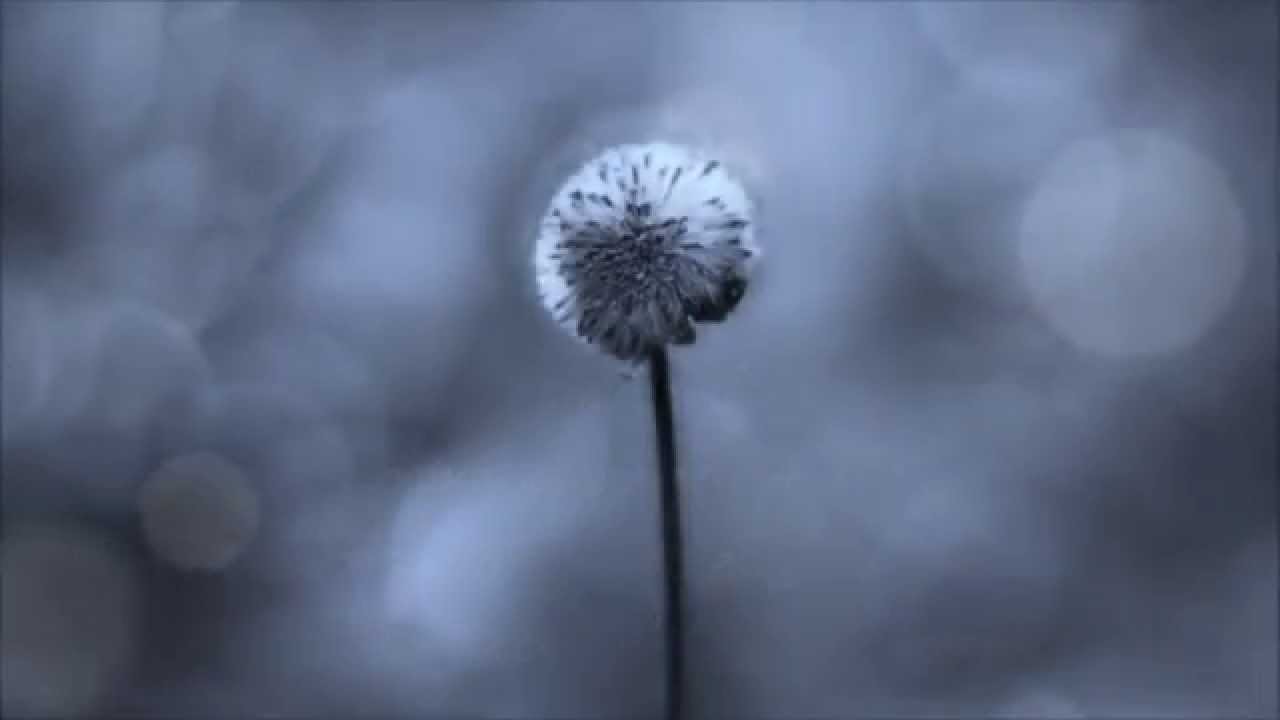Laura Marling-Ghosts (Legendado Port.Br) Laura Marling-Ghosts (Legendado Port.Br)