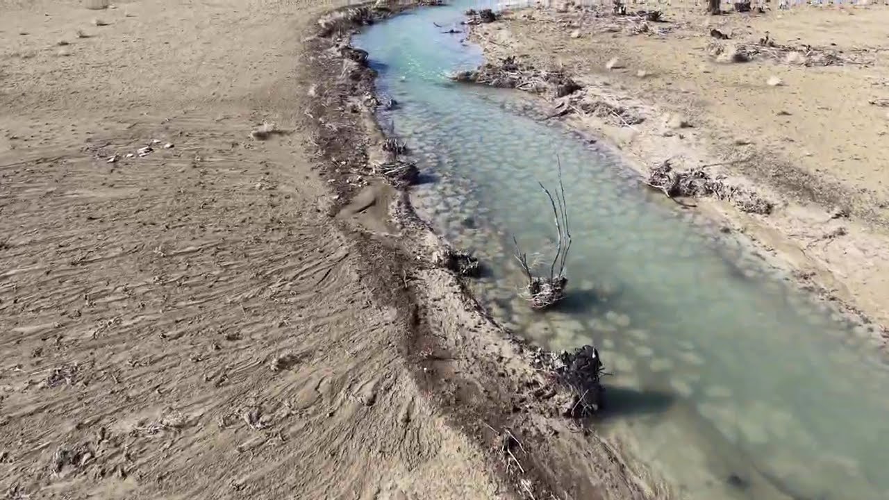 Yeşildere Barajı - Akarsu - Dere - Doğa - Balık - DJI MİNİ 5 PRO