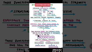 #ANCHORING JUNCTION//MICRO INTRODUCTION #shorts #bsc Zoology #cell biology#cell cell interaction.