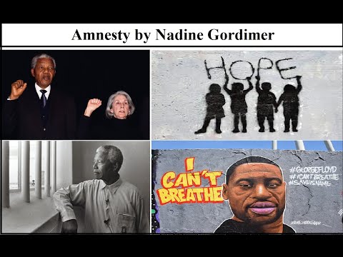 Amnesty by Nadine