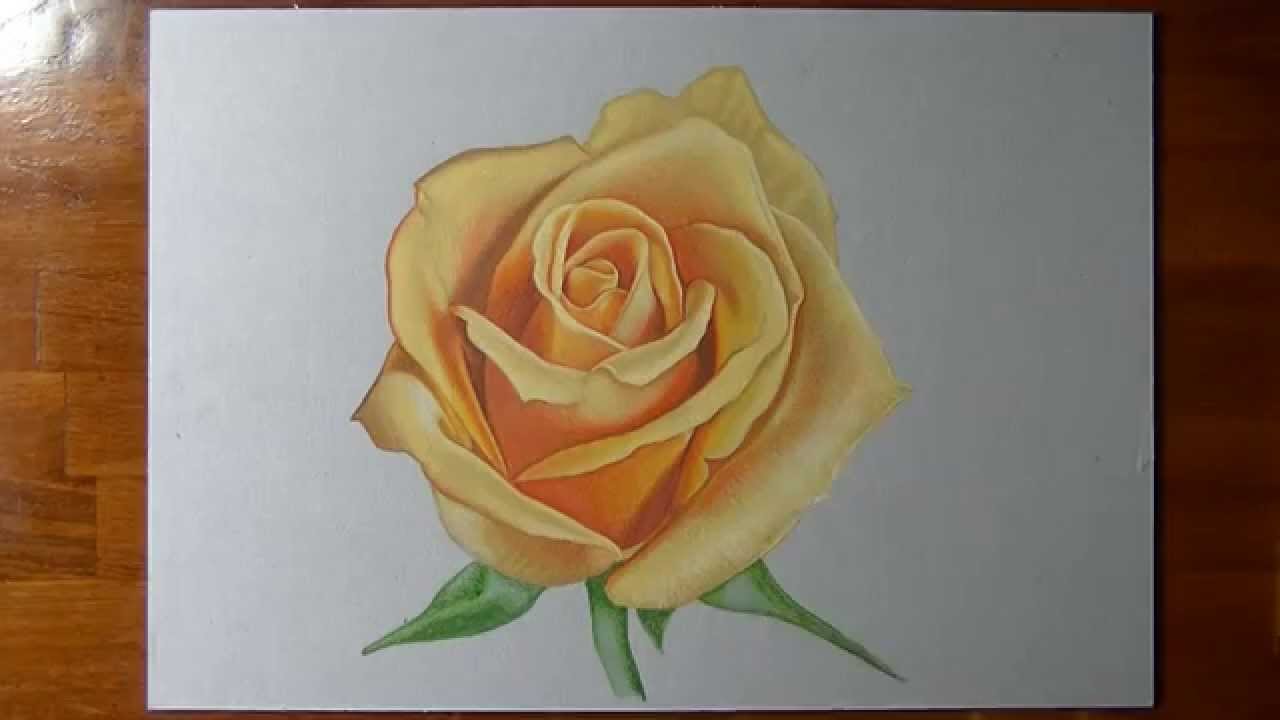 Disegno Realistico In Timelapse Rosa Gialla Youtube