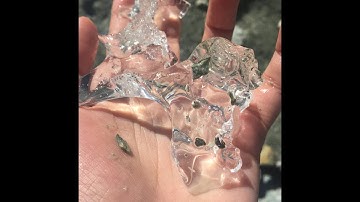 upsammy (Thessa Torsing) · Reality Paces The Platform · Zoom · 2020