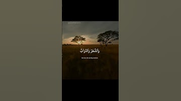 لحظات هدوء مع تلاوة تريح القلب من الشيخ ياسر الدوسري 🕊️