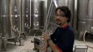 Rumbleseat Wine - Simone Santini Winery  - Part1
