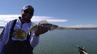 Trolling Leadcore to Target Deep Walleye In Cold Water