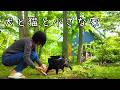 北海道に移住した本当の理由を初めてお話します