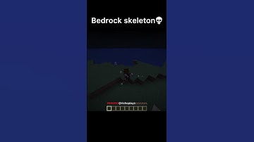 Minecraft Java Vs Bedrock Meme
