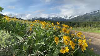 Cottonwood Lake Trail