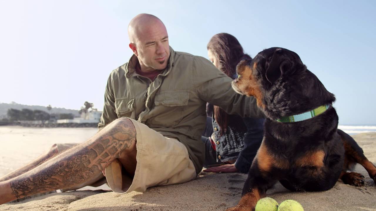 Blue Buffalo Foundation Pet Cancer Awareness 2016 YouTube