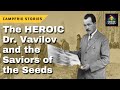 The Heroic Story of Nikolai Vavilov and the Saviors of the Seeds