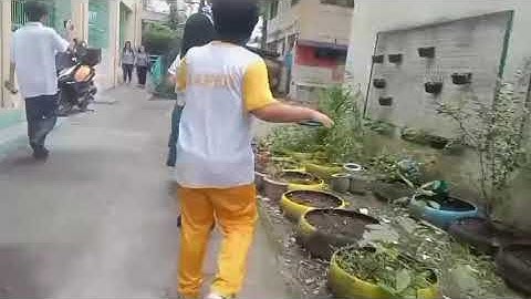 Performance task 1 Math