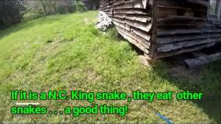RV Lady Season 8 Episode 25 Snakes Alive!!!! 4.15.17