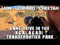 A Game drive in the Kgalagadi Transfrontier Park - Kgalagadi Photography Ep 6