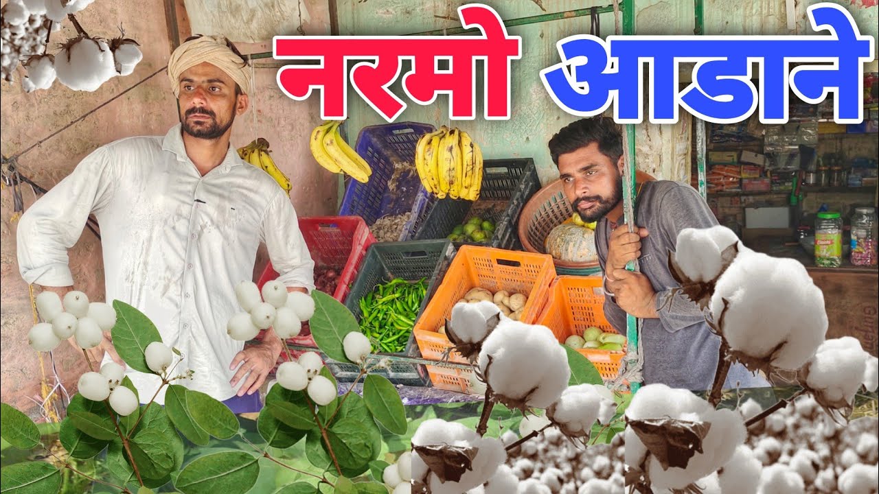 नरमो आडाने!!राजस्थानी हरयाणवी कोमेडी ! #गांमाआलेछोरे!#newcomedey#comedyvide#rajasthaninewvideo।।