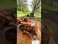 ASMR Forest Cooking: Massive Roast Meat & Fresh Pizza #shorts #cooking #recipe #shortsfeed #food
