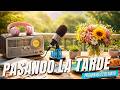 PASANDO LA TARDE 22 DE MAYO