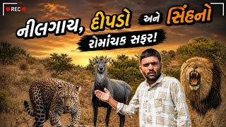 “અમારી વાડીમાં જંગલી સિંહ 😱 | Nilgai, Leopard &amp; Jungle Vlog | Full Adventure” #vlog #chiragxdaily