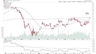 Watchlist Stocks: AAL, NLR, SLDP, TM  – 26 October 2025
