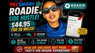 PetSmart Online Order - Roadie Delivery Side Hustle Gig in Brea, CA $44.95 in one hour for 38 miles!