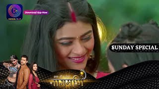 Ishq Ki Dastaan Naagmani | 4 June  2023 Sunday Special इश्क़ की दास्तान नागमणि | Dangal TV