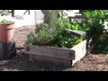 Plans to Build a Raised-Bed Garden : Raised-Bed Gardens Plans to Build a Raised-Bed Garden : Raised-Bed Gardens