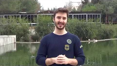 Work and Travel Program - InterExchange Video