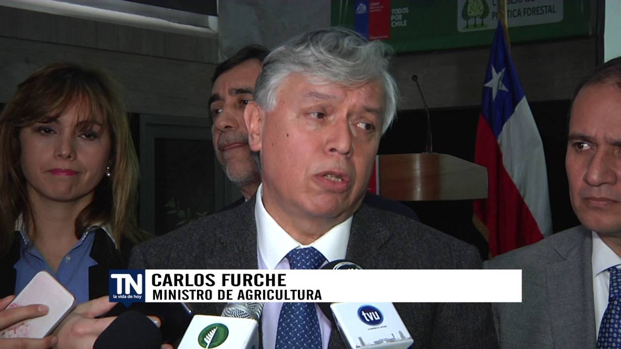 Lanzan la Política Forestal para el período 2015 – 2035