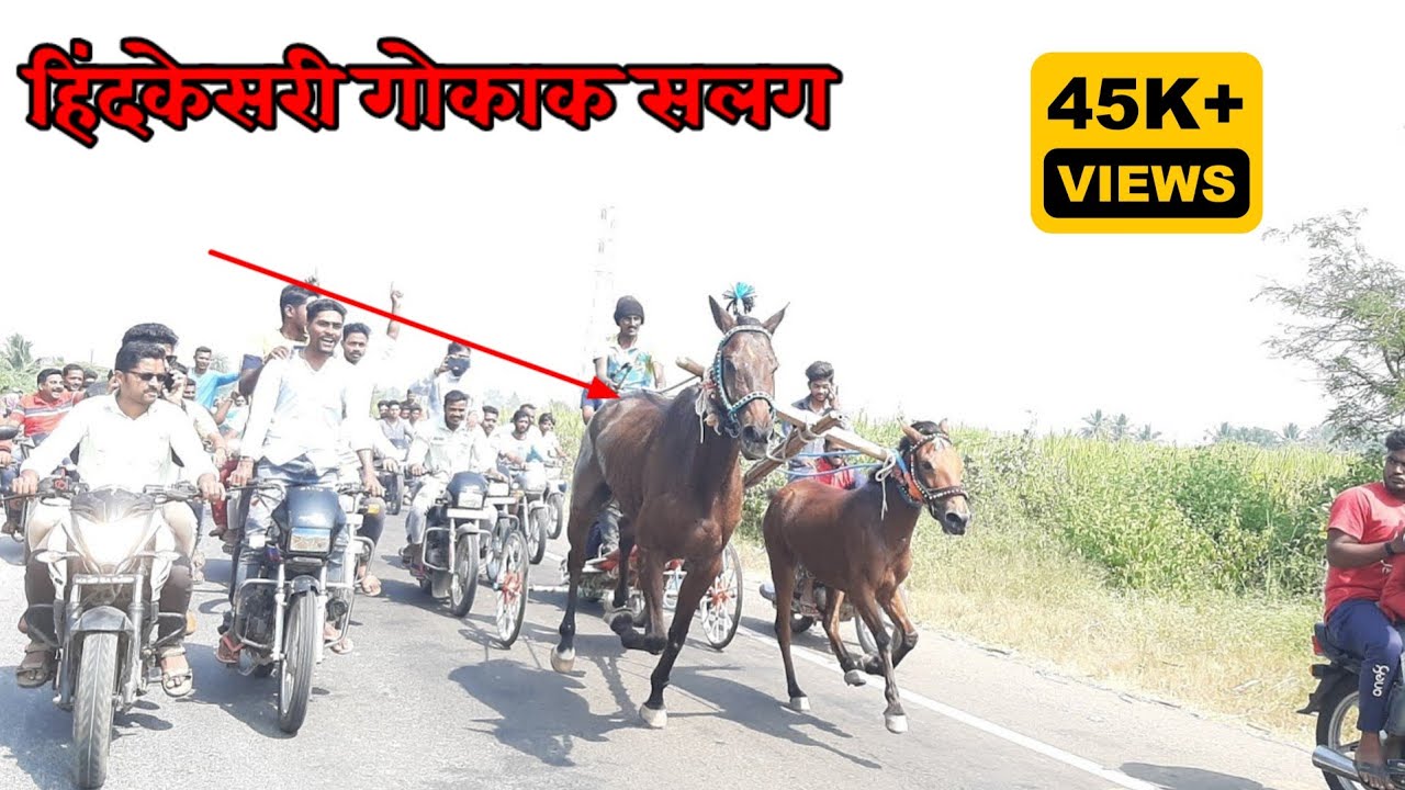 |Gokak losur ghodagadi maidan||गोकाक लोलसुर|🐎Gokaksalaga&Jaanu🐎🥇#ghodasharyat #ghodagadi #ghodahorse