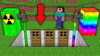 Minecraft NOOB vs PRO: WHAT FOR NOOB CONDUCT AN EXPERIMENT ON DOOR IN LABORATORY POOL? 100% trolling