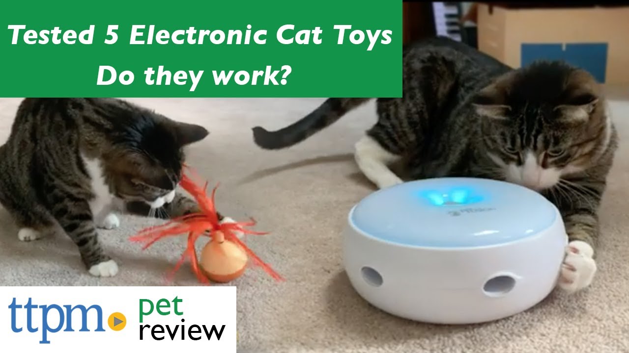 10 Best Robot Cat Toys in 2024 – Reviews & Top Picks - Catster