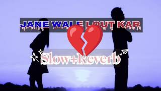 LoFi Song Hindi||Slow Reverb Song|| Jane Wale Lout Kar Aaya Kyon Nahi.