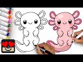 How to draw an axolotl  step by step tutorial