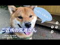 ご近所の常連さん