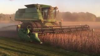 Burgoon Bean Harvest