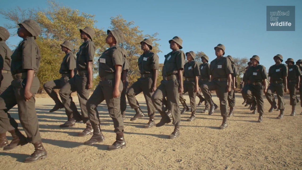 wildlife konusu Nature's guardians - Community and rangers