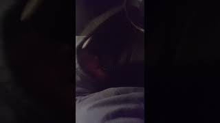 Download Lagu Freestyle wit Austi207 putting Maine on the map MP3